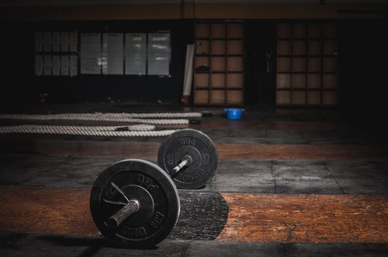 Whey isolate vs concentrée